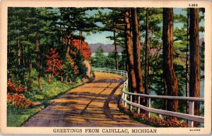 Greetings from Cadillac Michigan Postcard