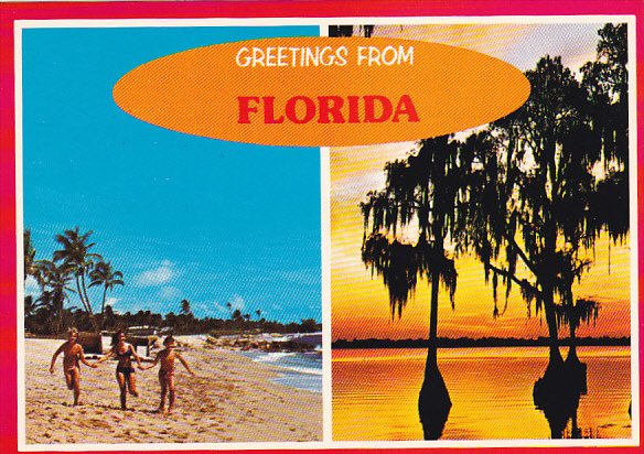 Greetings From Florida Multi View