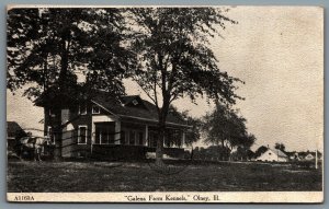 Postcard Olney Illinois 1908 Galena Farm Kennels Dogs CDS Duplex Cancel Amboy MN