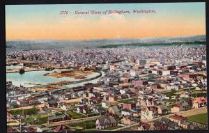 Washington General View of BELLINGHAM Divided Back