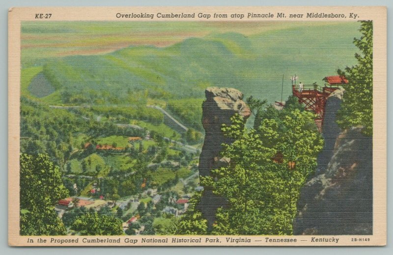 Middlesboro Kentucky~Cumberland Gap~Pinnacle Mt~Vintage Postcard