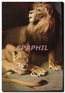 Old Postcard Lion Styka