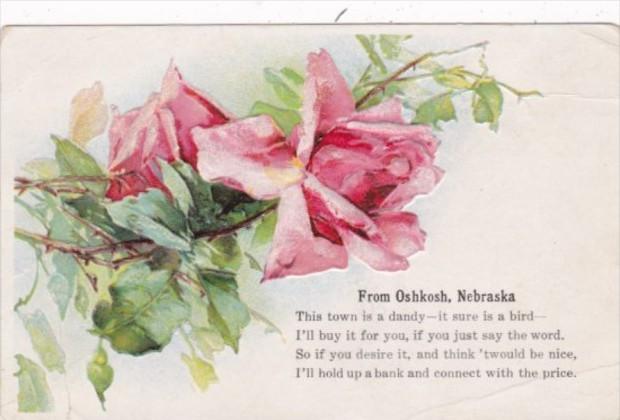 Nebraska Beautiful Roses From Oshkosh 1909