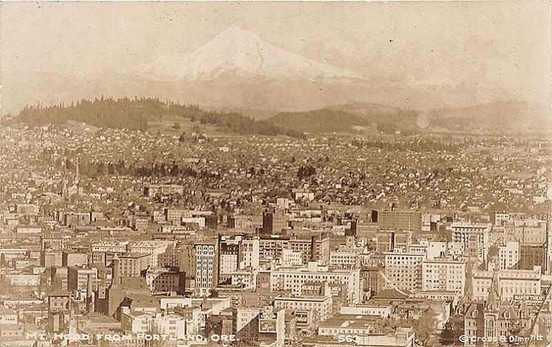 Portland OR Aerial View City & Mt. Hood Cross & Dimmitt RPPC Postcard