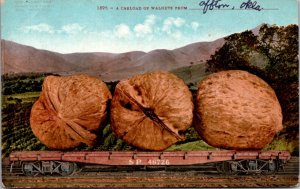 Exaggeration PC A Carload of Walnuts From Afton Oklahoma on Railroad Train Car