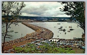 Opening Of The Canso Causeway, Nova Scotia, Vintage 1955 Chrome Postcard