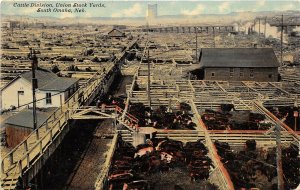 South Omaha Nebraska c1910 Postcard Cattle Division Union Stock Yards