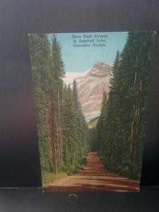 Postcard  Snow Peak Avenue to Emerald Lake Canadian Rockies