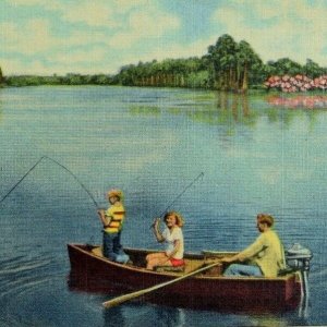 Vintage Fishing in Clermont, Florida, Chain of Lakes Postcards P47 