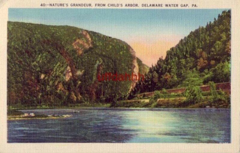 nature's grandeur FROM CHILD'S ARBOR DELAWARE WATER GAP, PA 1938