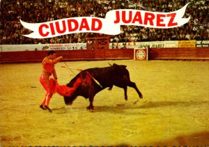 Mexico Juarez Bull Ring The Kill