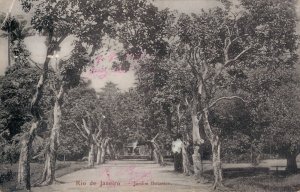 Brazil Rio de Janeiro Jardim Botanico Vintage Postcard 07.33