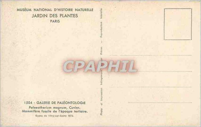 Old Postcard National Museum of Natural History Botanical Garden Paris Palaea...