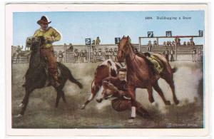 Cowboy Bulldogging Steer Horse Western Rodeo postcard