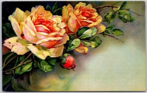 1911 Greetings Landscape Flowers Yellow Roses Large Print Posted Postcard
