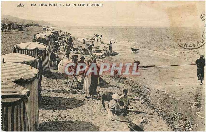 Old Postcard Deauville La Plage Fleurie