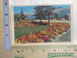 Postcard Folder Gardens, Jasper National Park, Jasper, Canada