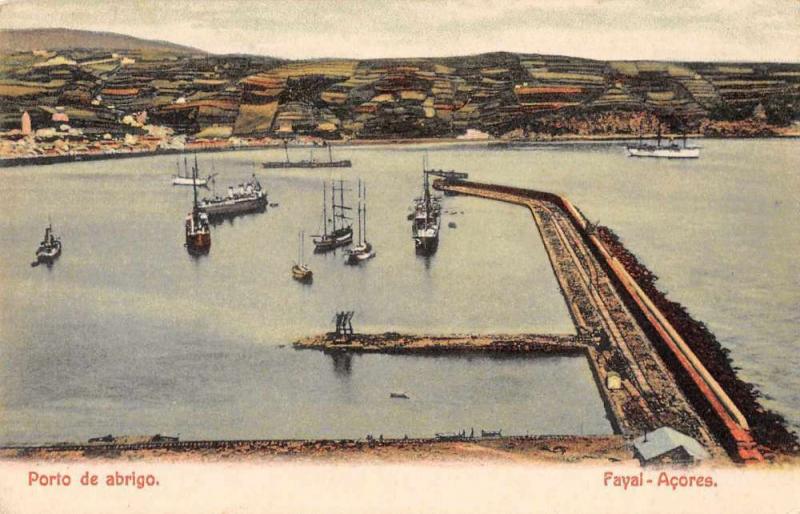 Fayal Acores Portugal Porto de Abrigo Scenic View Antique Postcard J63529