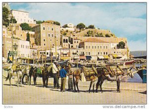 Matutinal Gathering At The Seaside, Showing A Hotel, & Donkeys, Hydra, Greece...