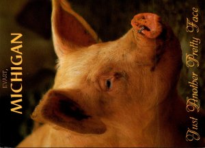 Michigan Evart Pig Just Another Pretty Face