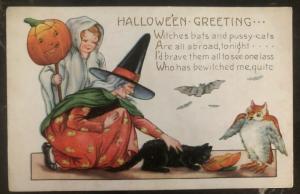 Mint Vintage USA Picture Postcard PPC  Halloween Greetings Old Witch