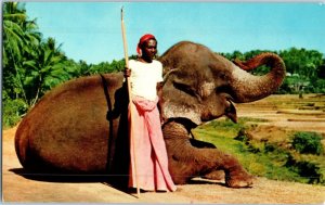 Nosey the Elephant at the Roeding Park Zoo Fresno California Postcard 1957