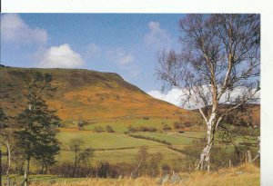 Wales Postcard - Yr Wyloer from Gilfach Nature Reserve, St Harmon - Powys 18032A