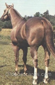 Mack By Bar AQHA Champion Red Roan Horse Unused 