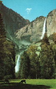 Vintage Postcard 1952 Yosemite Falls Upper & Lower Combined Waterfall Spectacle