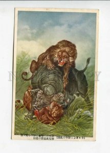 3158707 LION Hunt BULL vintage Japan Colorful Postcard