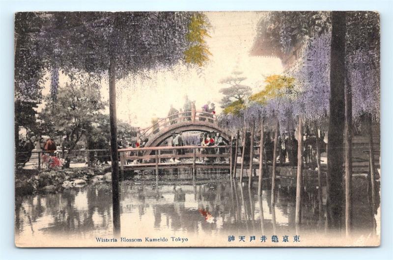 Postcard Japan Tokyo Kameido Wisteria Blossom c1912 Hand Tinted Colored L03