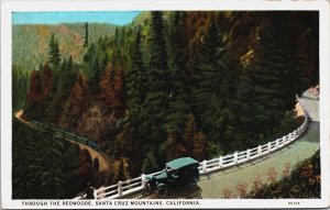 Through The Redwoods Santa Cruz Mountains California Postcard C035