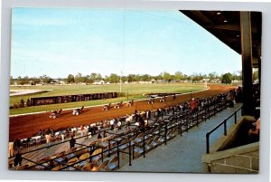 Red Mile Lexington Kentucky KY Race Track Horses Antique Postcard UNP VTG Dexter 