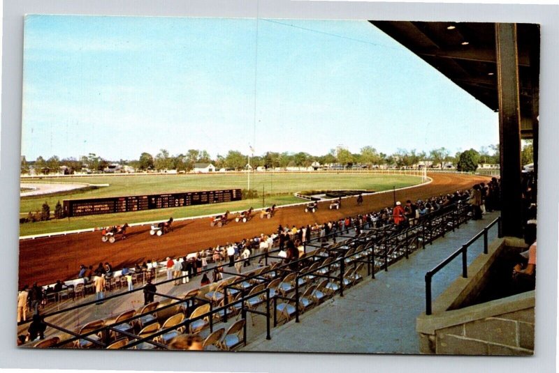 Red Mile Lexington Kentucky KY Race Track Horses Antique Postcard UNP VTG Dexter 