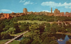 Postcard Public Gardens And Downtown Business Section Boston Massachusetts MA