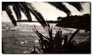 Modern Postcard Beaulieu Sur Mer Sunset on Cap Ferrat and the promenade Mauri...