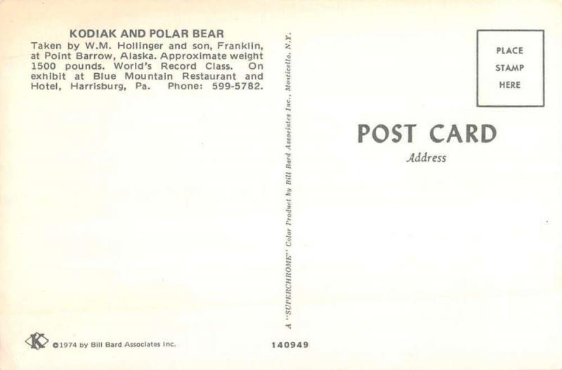 Harrisburg Pennsylvania Kodiak Polar Bear Ladies Vintage Postcard K107159