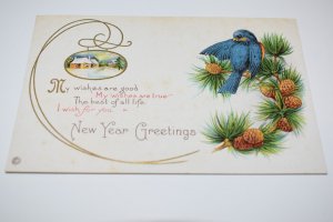 My wishes... New Year Greetings Blue Bird Pinecones Postcard Stecher Lith. Co.