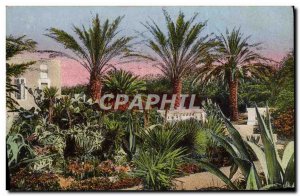 Postcard Old Flora Artistic Garden Villa Palms