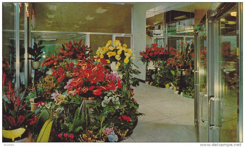 Aloha House of Flowers , VANCOUVER , B.C. , Canada , 40-60s