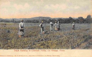 Truck Farming Colorado Valley La Grange Texas 1907c postcard