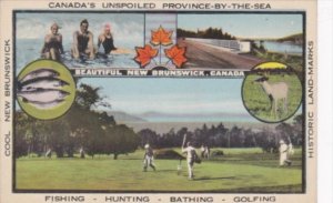 Canada New Brunswick Multi View Fishing Hunting Bathing & Golfing