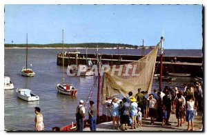 Postcard Modern Saint Georges de Didonne A corner of Harbor Fishing Boat