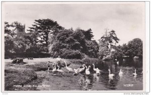 RP: ELLESMERE , Shropshire , England ,20-40s ; Mere Side