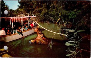 Postcard AMUSEMENT PARK SCENE Anaheim California CA AM0302