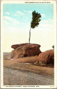 Tree Growing from Rock, Lincoln Highway Cheyenne WY c1932 Vintage Postcard T08