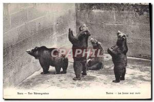 Postcard Old Bear Bern Barengraben