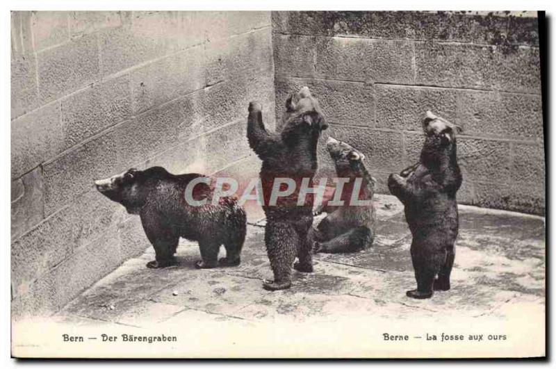 Postcard Old Bear Bern Barengraben