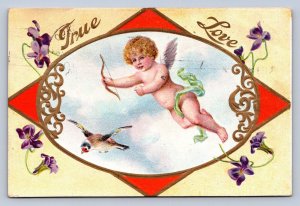 J93/ Valentine's Day Love Holiday Postcard c1910 Cupid Hearts 523