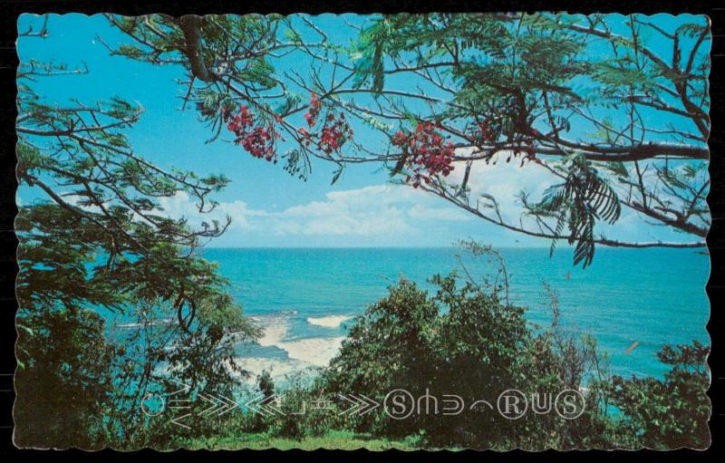 JAMAICA, W.I. - Panoramic view of Jamaica's beautiful coast